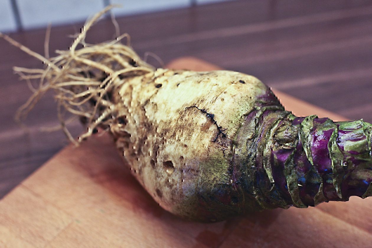 Eine Steckrübe mit langen Wurzeln und Erdresten liegt auf einem Holzbrett