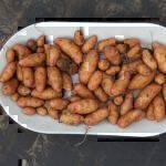 Kartoffeln selbst anbauen