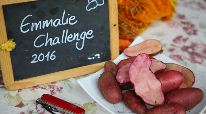 Kartoffeln anbauen | Emmalie Challenge 2016