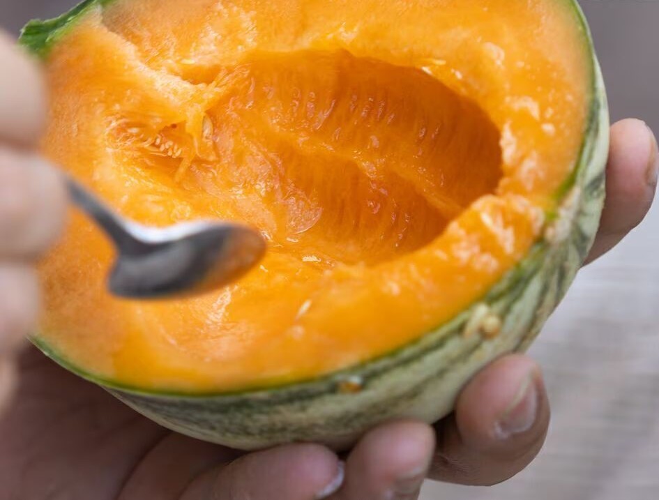 Aufgeschnittene Zuckermelone Charentais mit orangem Fruchtfleisch in der Hand, daneben ein Löffel