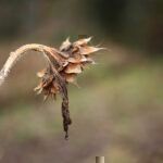 Gartenrundgang