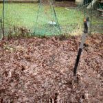 Gartenrundgang