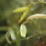Gartenrundgang