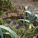 Gartenrundgang