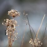 Gartenrundgang