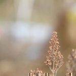 Gartenrundgang