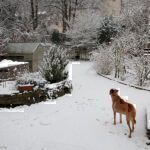 Gartenrundgang