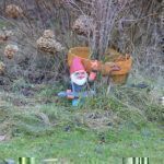 Gartenrundgang