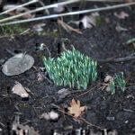 Gartenrundgang