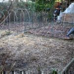 Gartenrundgang