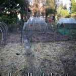 Gartenrundgang