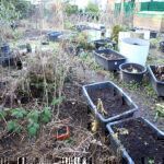 Gartenrundgang