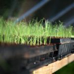 Gartenrundgang