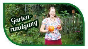 Mehr über den Artikel erfahren Gartenrundgang im September – Hallo Herbst