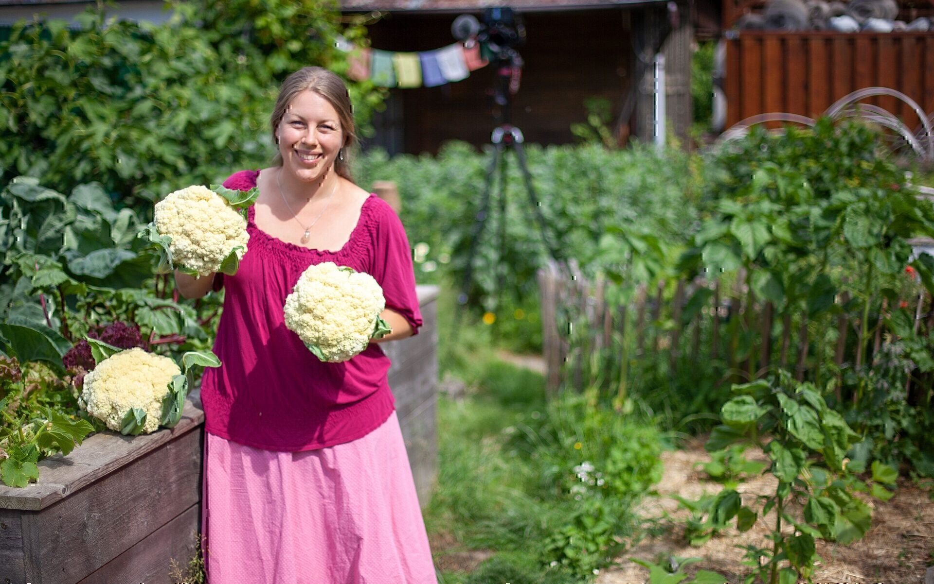 Jen hält zwei große weiße Blumenkohlköpfe vor dem Hochbeet, ein dritter liegt auf dem Beetrand