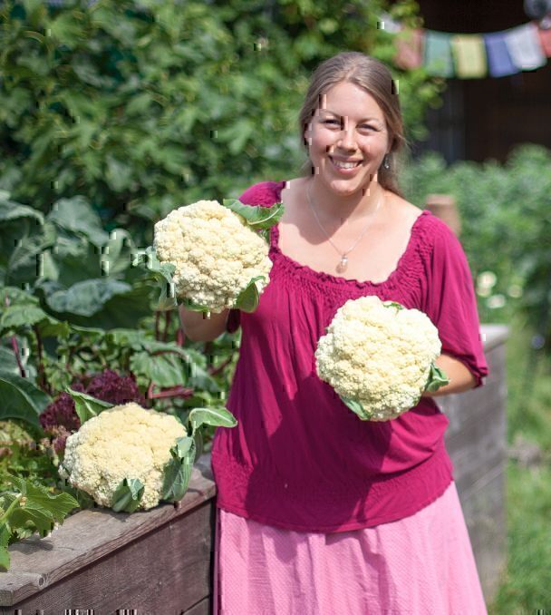 Blumenkohl