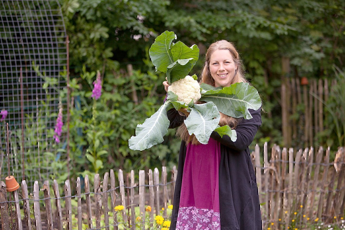 Jen hält einen frisch geernteten Blumenkohl mit großen Blättern vor dem Gartenzaun