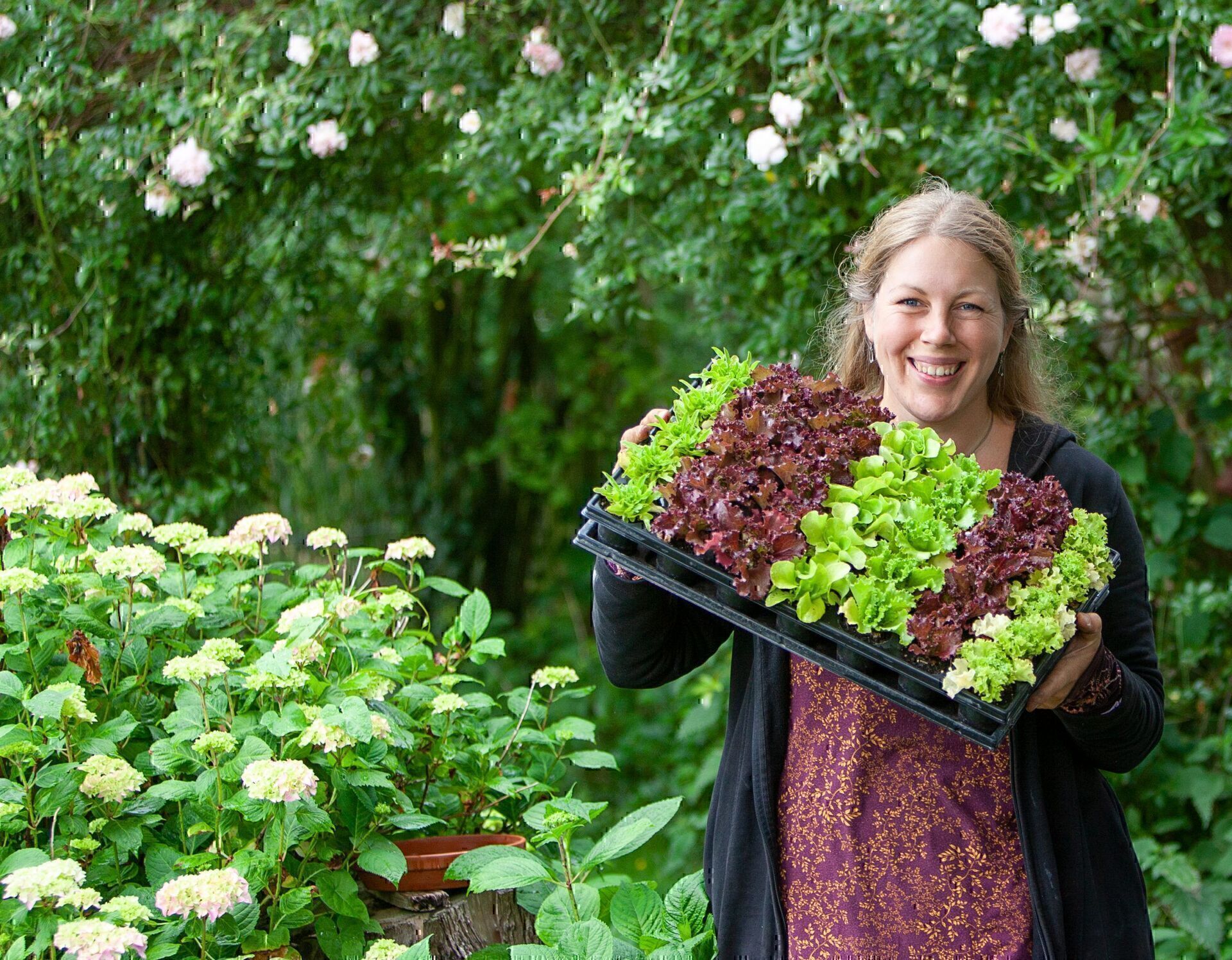 Jen hält eine Multitopfplatte voller roter und grüner Salatjungpflanzen vor blühenden Sträuchern