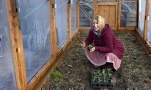 Mehr über den Artikel erfahren Gartenarbeit im März