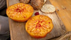Mehr über den Artikel erfahren Fleischtomaten anbauen