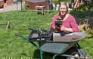Mehr über den Artikel erfahren Gartenarbeit im Mai