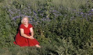 Mehr über den Artikel erfahren Garten im September
