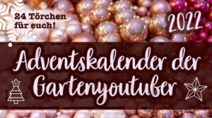 Mehr über den Artikel erfahren Nikolaustürchen