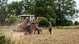 Mehr über den Artikel erfahren Neuer Garten