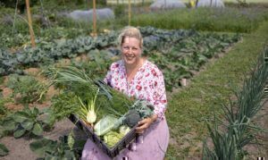 Mehr über den Artikel erfahren Hof Garten Rundgang