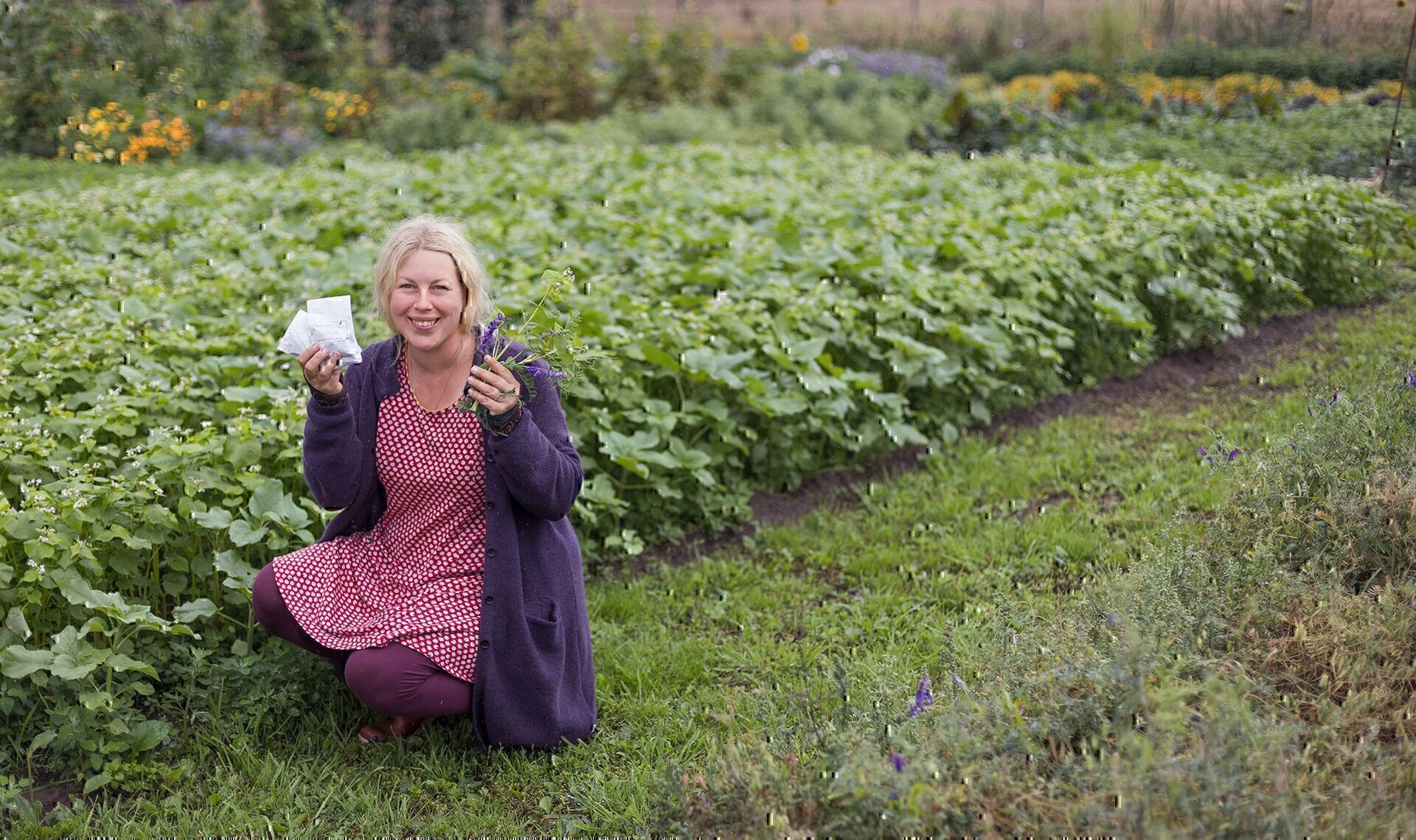 Jen hockt mit Saatguttütchen in der Hand vor einem Beet voll blühendem Buchweizen im Gemüsegarten