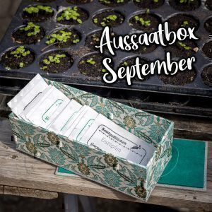 Mehr über den Artikel erfahren Saaten für den Garten