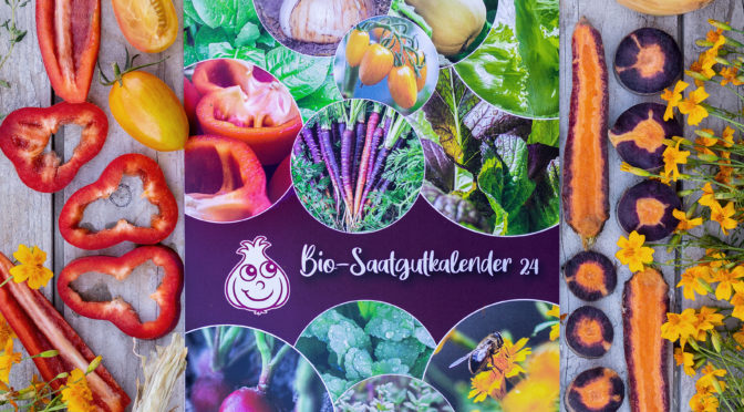 Bio-Saatgutkalender 2024 – Das Original