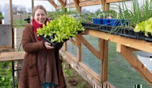 Jen mit einer Platte Salat-Jungpflanzen im Gewächshaus