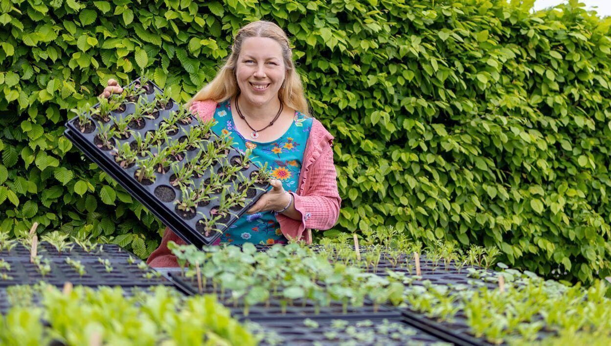 Jen hält eine Multitopfplatte mit jungen Blumenpflanzen, vor ihr weitere Platten mit Keimlingen