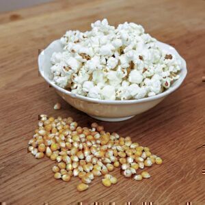 Popcorn Mais