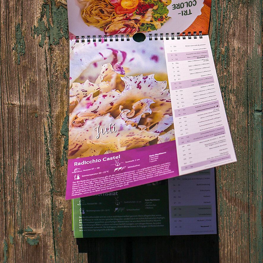 Gartenkalender 2027 in Gebrauch: Kalenderblatt Juli mit Radicchio Castel, darüber eine umgeblätterte Rezeptkarte