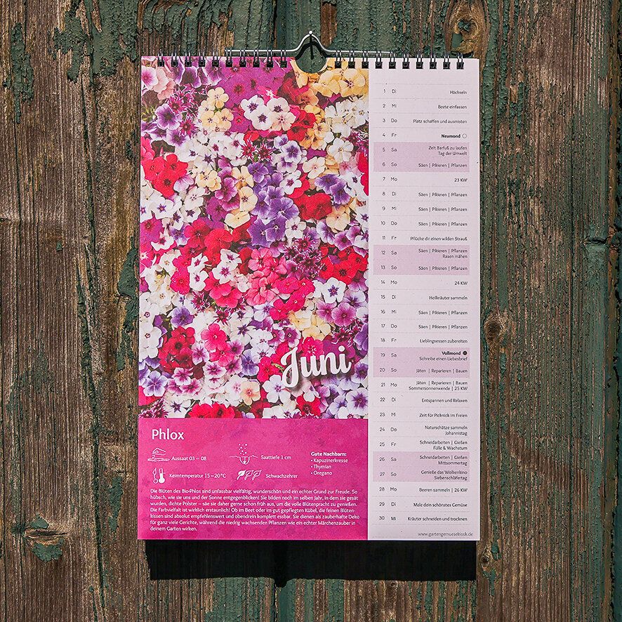 Kalenderblatt Juni mit buntem Bio-Phlox und Aussaat-Infos