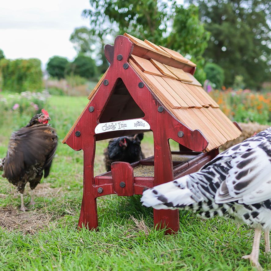 Chick Inn groß bunt