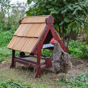 Chick`Inn MAXI oder MIDI incl. Versand in DE