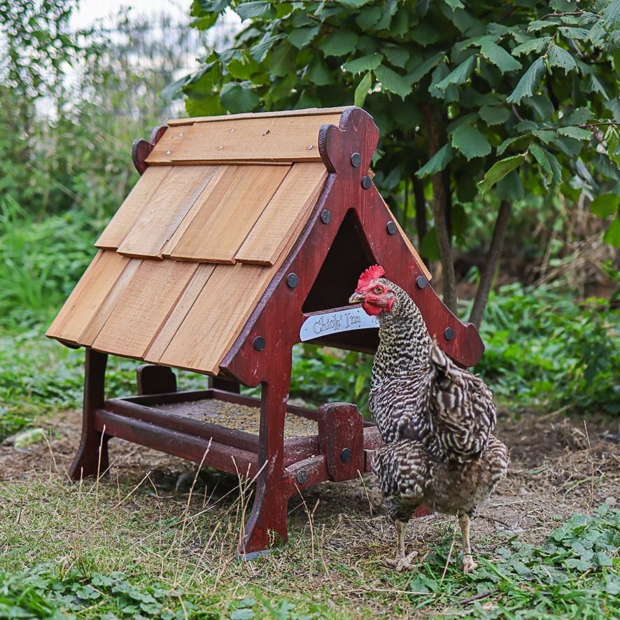 Chick Inn klein bunt